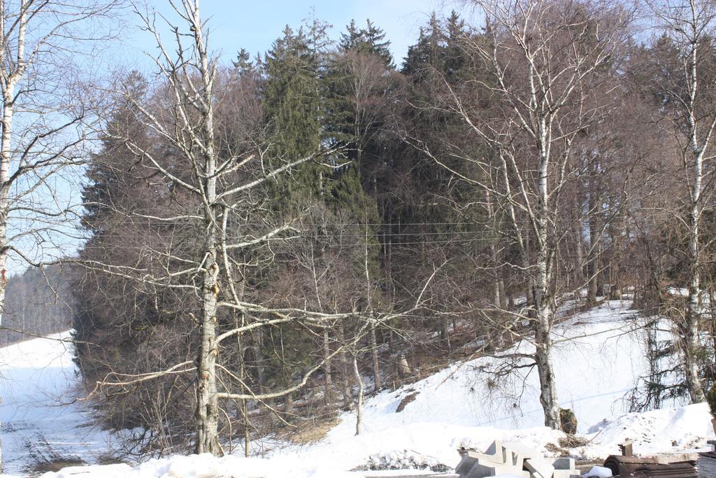 Ferienwohnungen Neukirchen Neukirchen am Teisenberg Екстер'єр фото