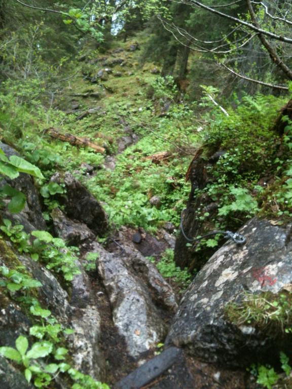 Ferienwohnungen Neukirchen Neukirchen am Teisenberg Екстер'єр фото